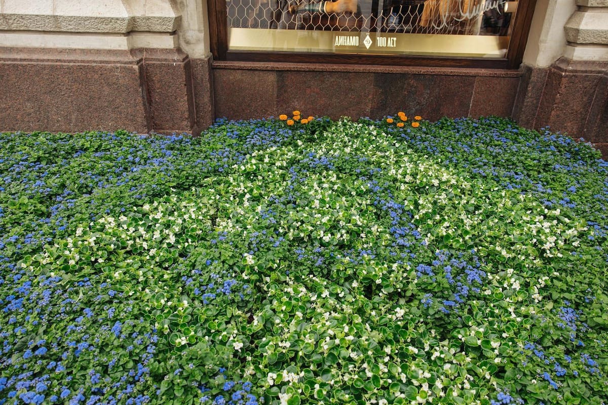 «Динамо» приняло участие в Фестивале цветов в ГУМе