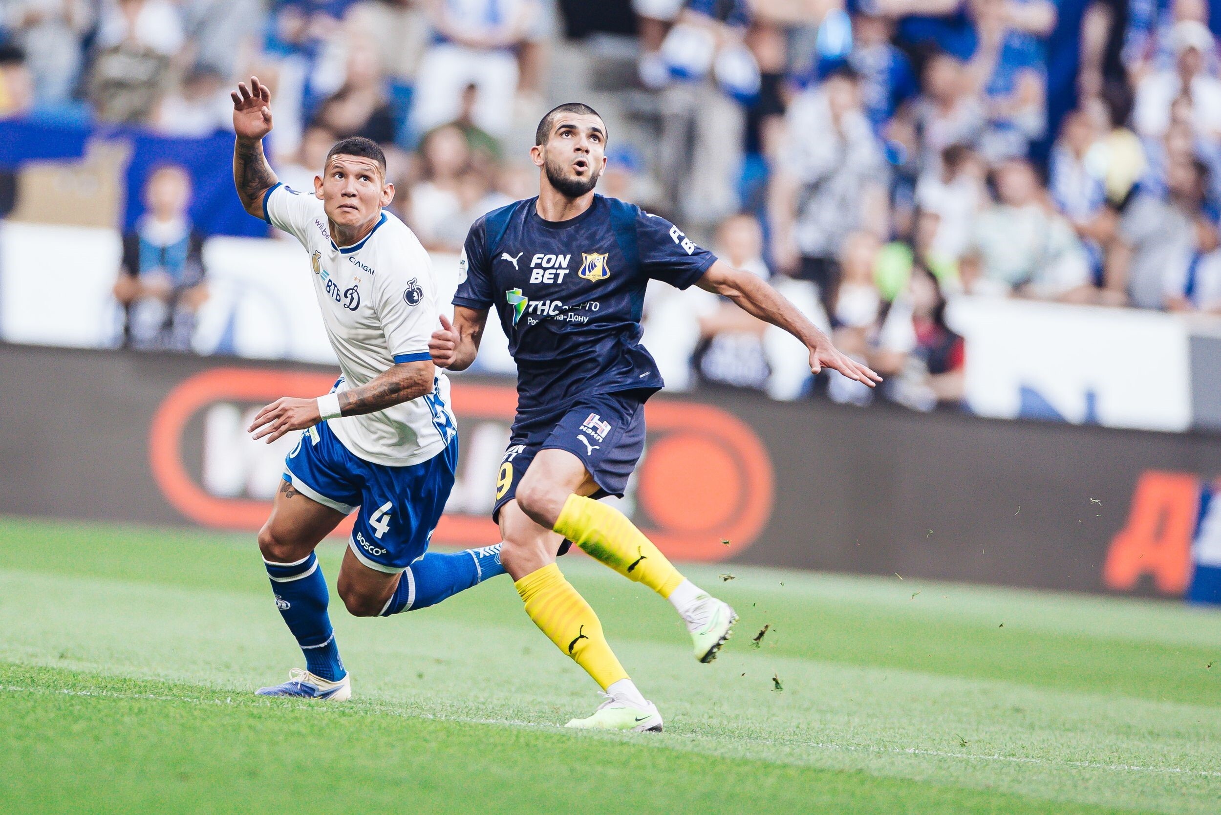 Preview of the Russian Championship match Rostov — Dynamo