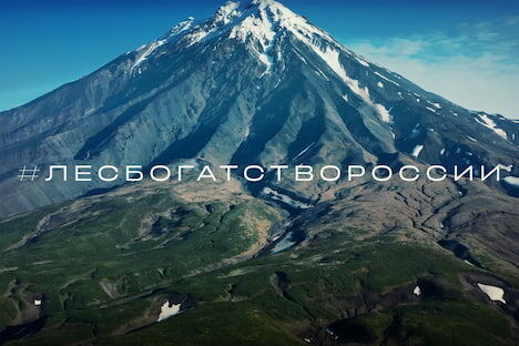 #ЛесБогатствоРоссии — экологическая акция «Динамо» и Highland Gold