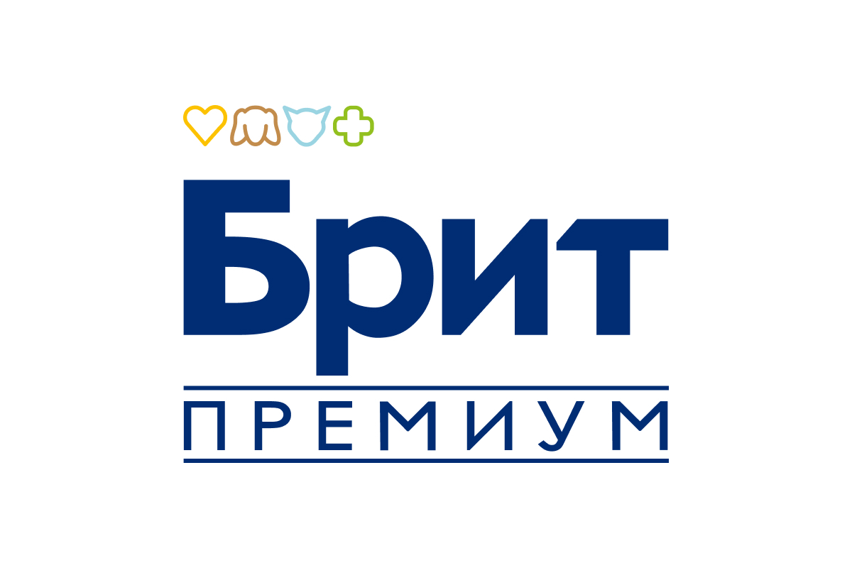 Партнеры и спонсоры