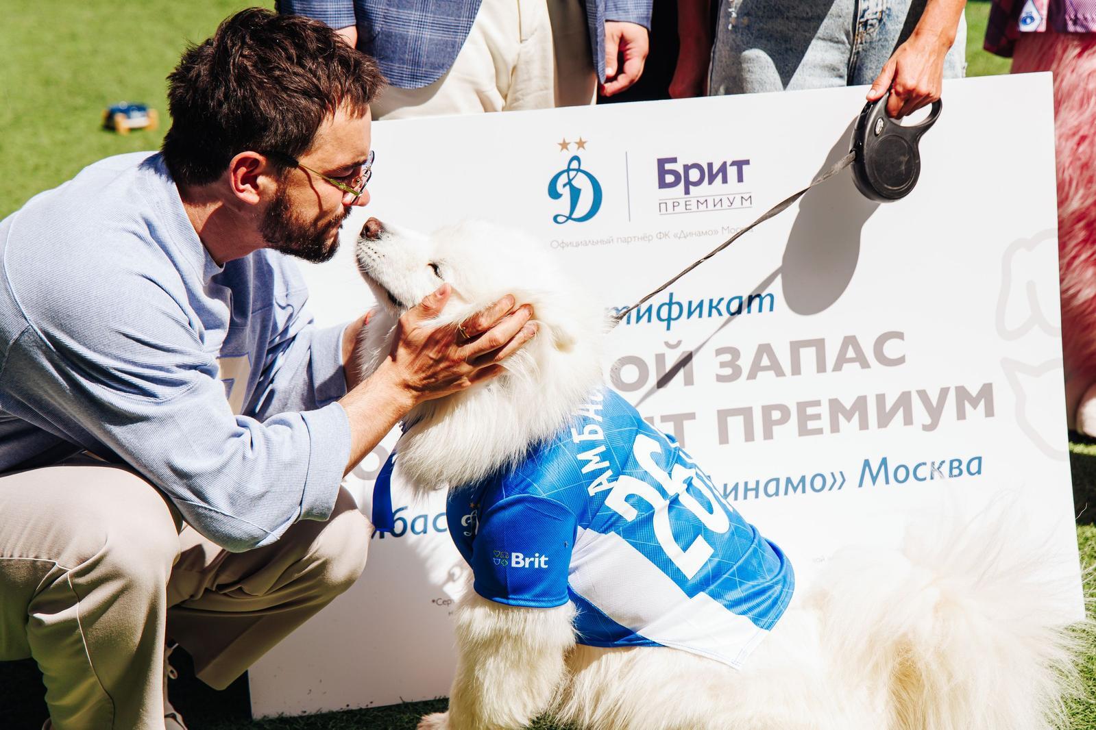АмбассаDOG «Динамо»