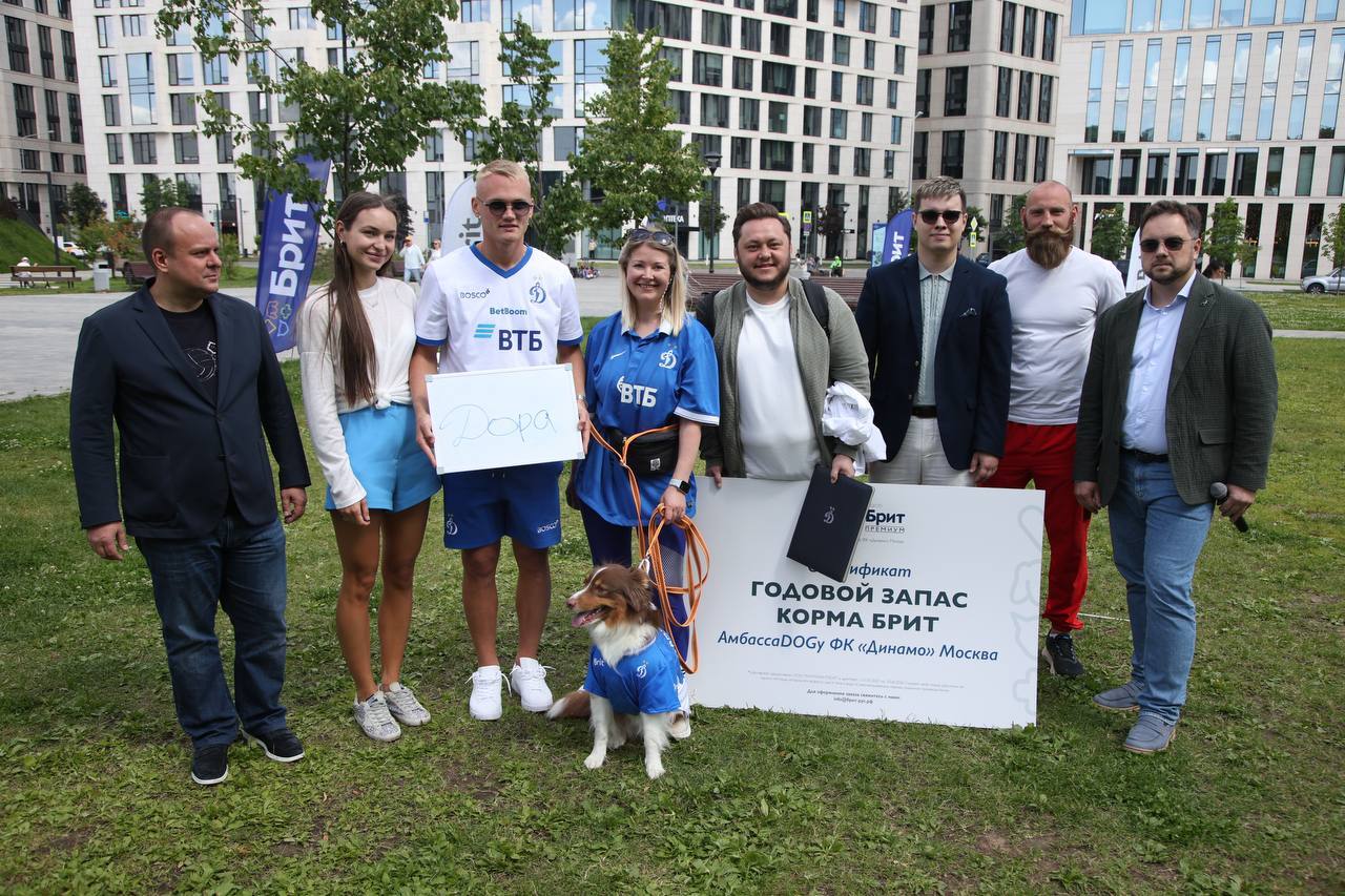 Dynamo AmbassaDOG